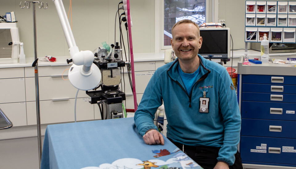 Klinikken i Dyreparken beskrives som veldig bra, både når det gjelder utstyr og plass