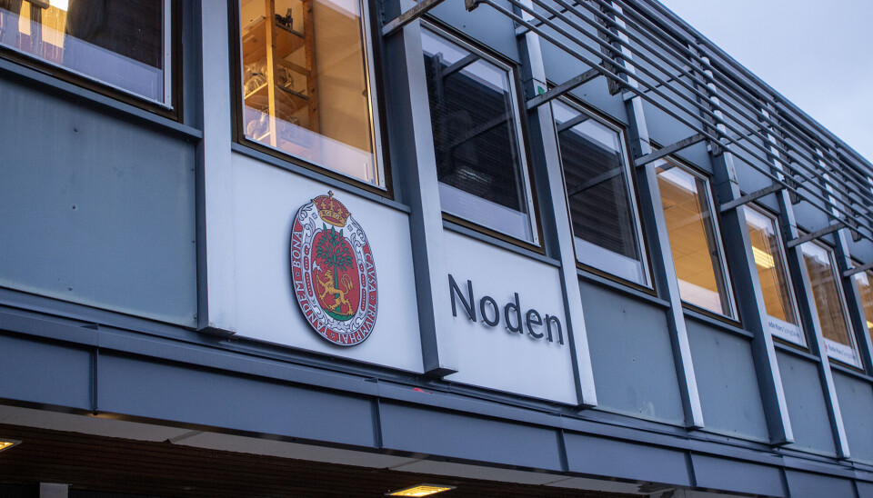 Et trygt fritidstilbud: – Ønsker å utvide