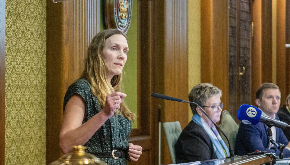 Hildegunn Tønnessen Seip