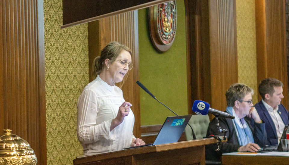 Heidi Johansen (SV)