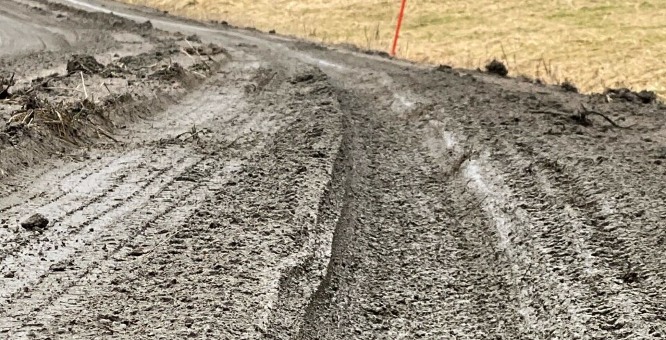 Raser over veistandarden: – Helt grusom