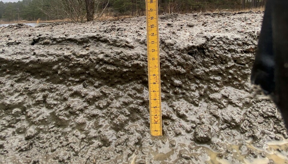 Raser over veistandarden: – Helt grusom