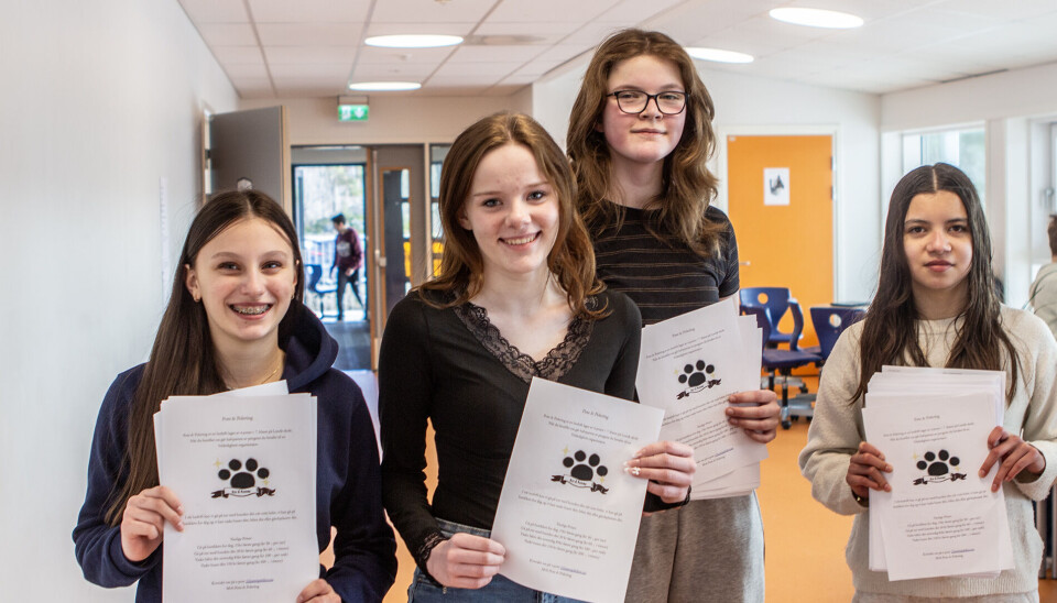 Elevbedriften Pote & Polering drives av Sophia Isabella, Natalia, Marielle og Mia som tilbyr alt fra vask av hus og bil, handletjenester og hundepass.