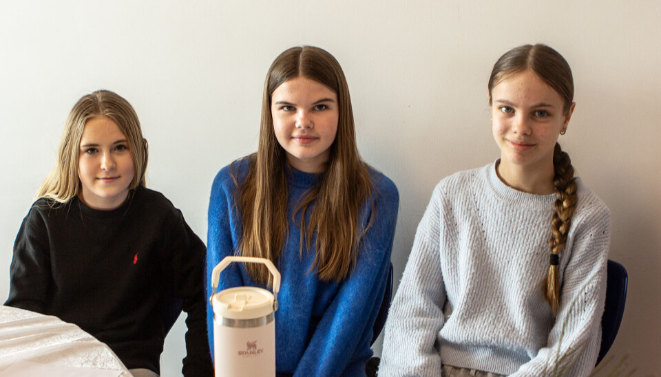 Tiril, Hanne og Kristin driver elevbedriften Eiendomsarbeiderne HTK og tilbyr vask av bil innvendig og utvendig, vask av hus og støvsuging, handlehjelp og panting av flasker for kundene sine.