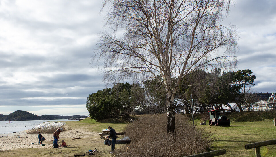 Grillsesongen i gang på Høllesanden