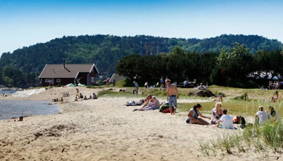 Slik inviteres politikerne til å bruke nær 40 millioner: Lite til Søgne – og bare litt mer til Songdalen
