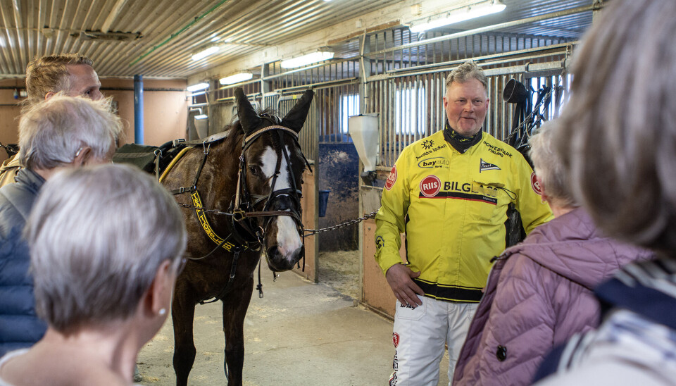 Fikk besøk i travparken: – Jeg fryktet en utfordring
