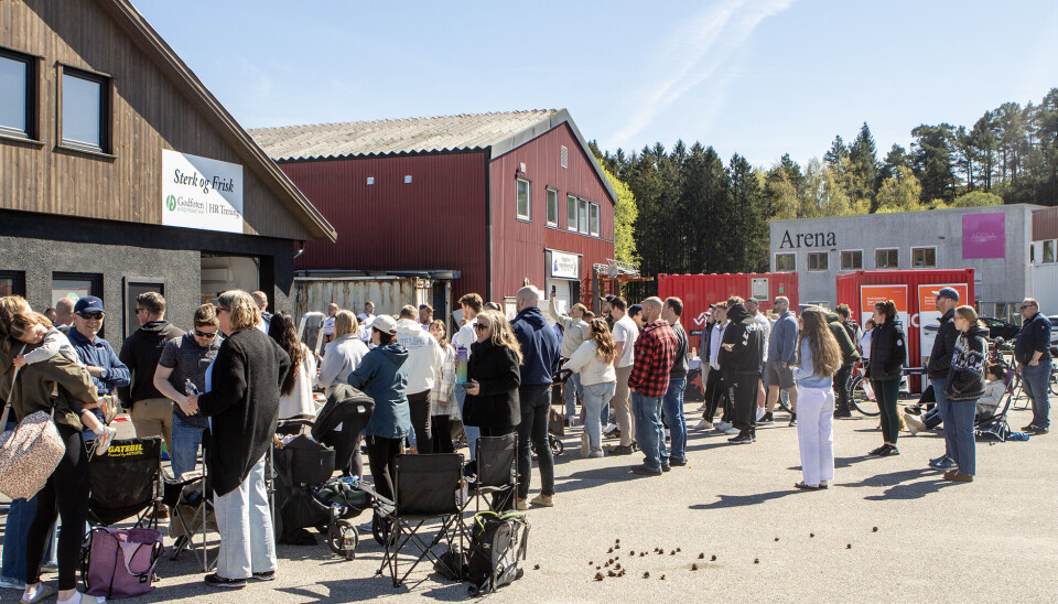Det var jevn tilstrømming av tilskuere under arrangementet