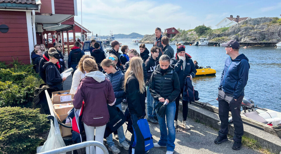 Aktiv Skole 8. trinn ryddet Søgne Skjærgård: – En fantastisk dugnadsinnsats