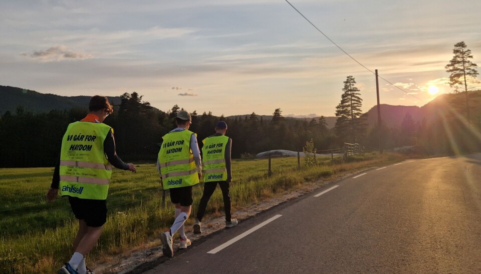 Guttene nærmer seg Bortelid