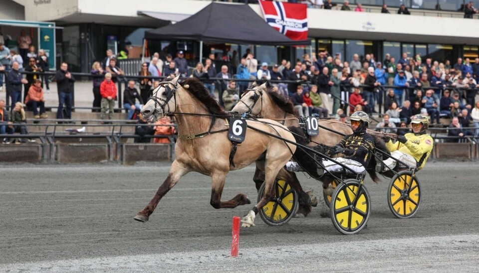 Her løper de to Søgne-hestene i mål som nummer en og to.