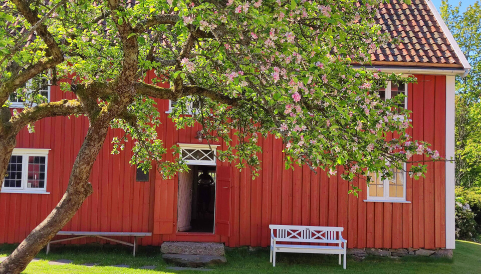 Søgne bygdemuseum