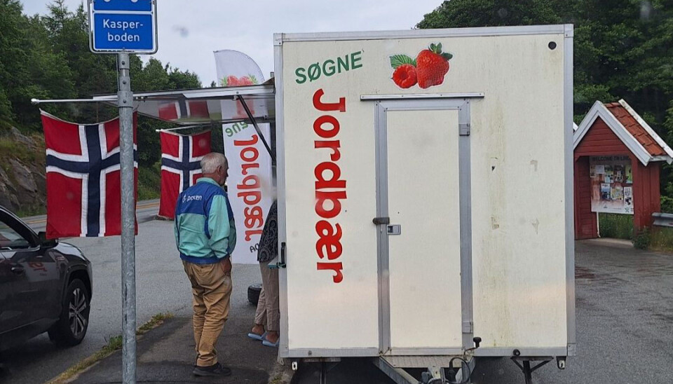 Etterlyser denne vogna