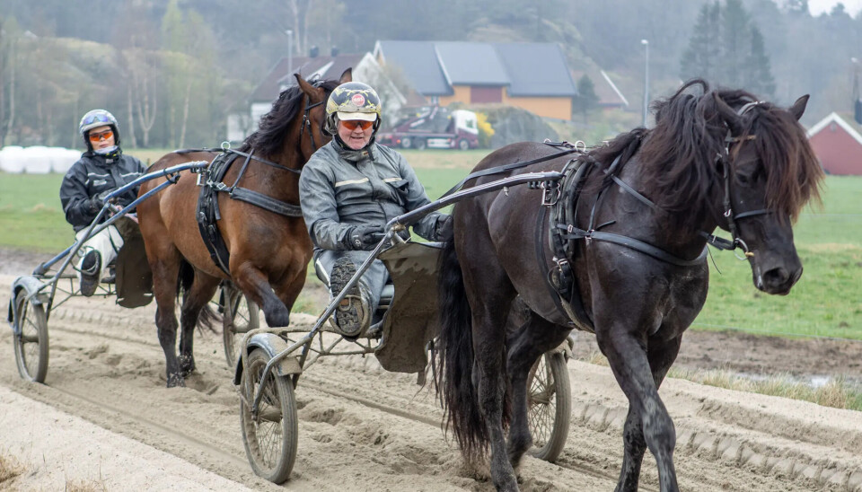 Her trener Øystein Tjomsland og Vilde Abusdal på den spesiallagde sandbanen ved gården på Sangvik.