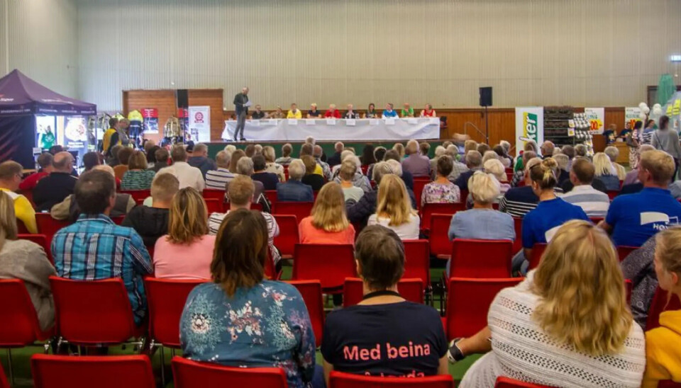 Finslandsdagene skal i år ha et ekstra fokus på barn