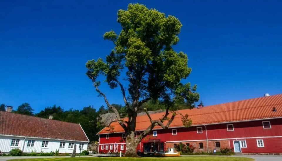 Foto i fokus med utstillingen
