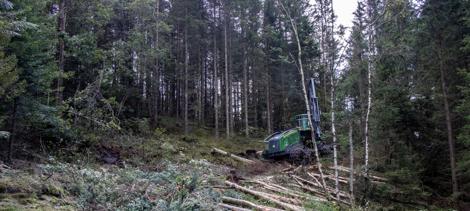 Skogrydding og anleggsarbeid i Søgne-marka