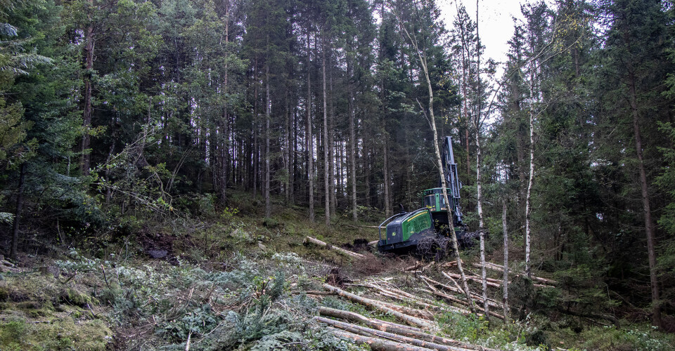 Linjeryddingen startet ved Kulia i september, og i november blir det mye aktivitet i Søgne-marka.