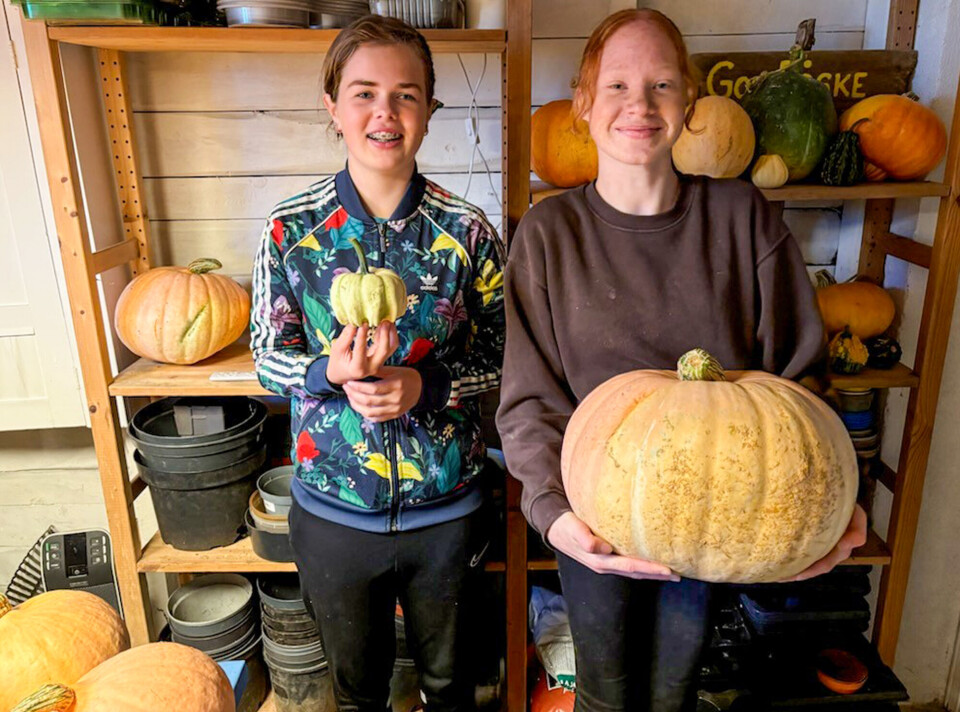 Ingeborg Solhøi og Rachel Ravnevand er også en del av gresskargruppen.