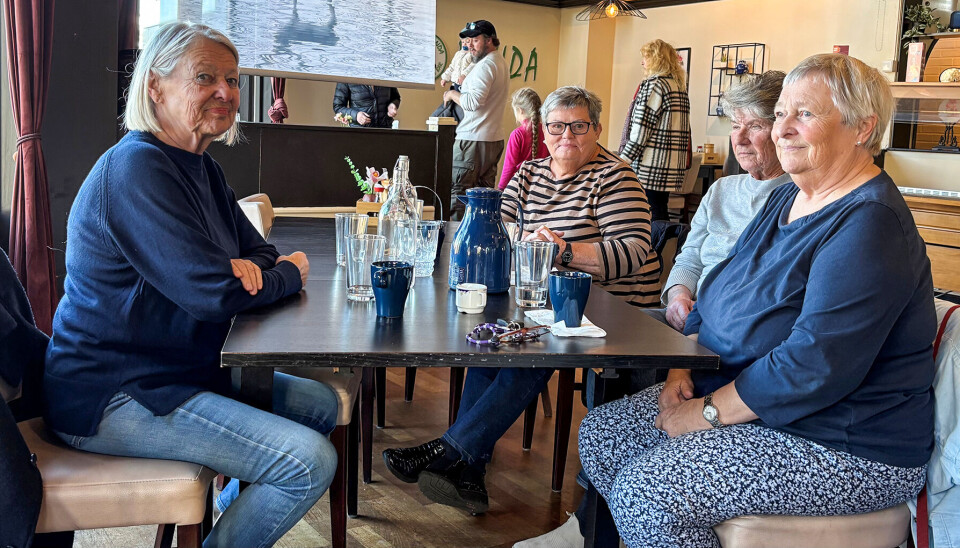 Anne-Lise, Anne-Lise, Brit og Trine testet Mad uga-menyen hos Happy Panda.