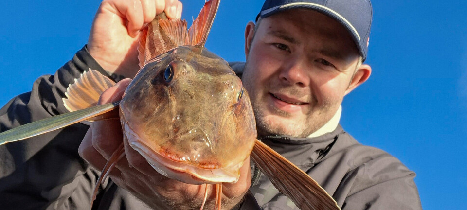 Dro nesten i land norgesrekord