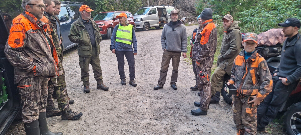 Lite elg skutt i Søgne – Tor Harald Lund tilbyr hjelp